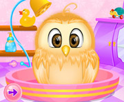 game Baby Owl Care