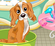 game Blondie Lockes Pet Day