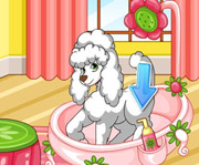 game Poodle Grooming Contest