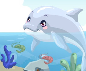 game Dolphin Care