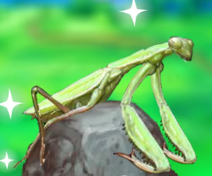 game Smart Mantis